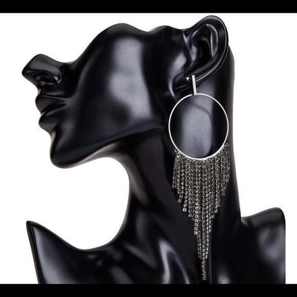 Crystal Tassel Hoop Statement Earrings - Picture 6 of 8